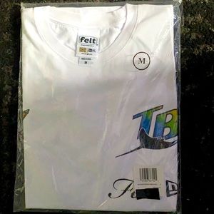 TAMPA BAY RAYS FELT & NEW ERA